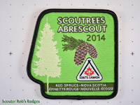 Click to enlarge 2014 Scoutrees (error)